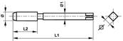 Taraud machine Co5 Whitworth BS 84 Forme B entrée GUN DIN 376 BSW 1.1/4 x 7