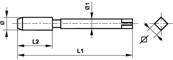 Taraud machine Co5 Whitworth BS 84 Forme B entrée GUN DIN 371 BSW 1/8 x 40